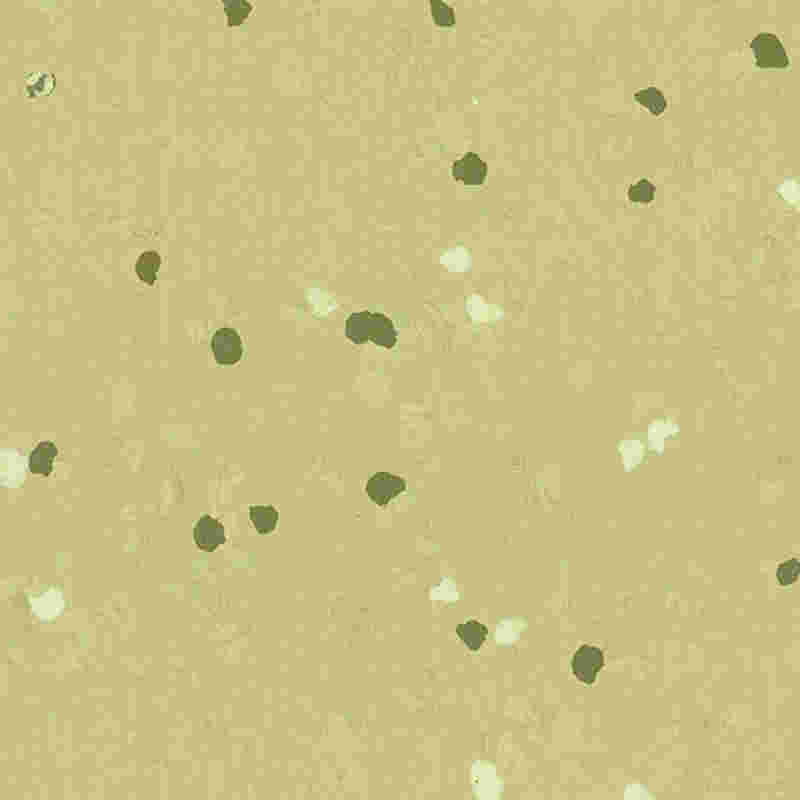 Ridsesikkert og højelastisk gummigulv