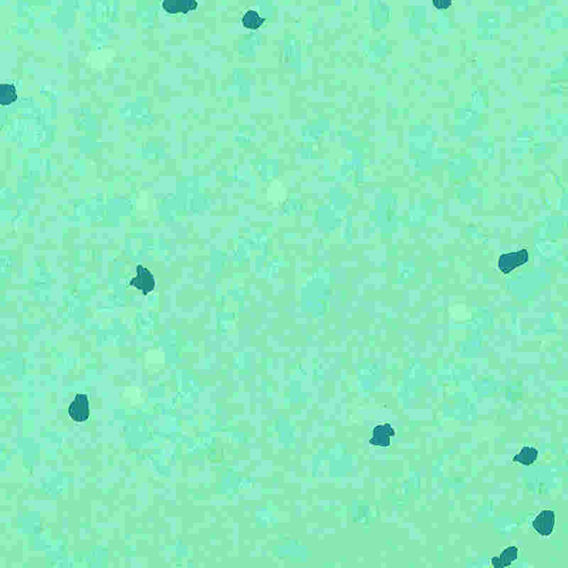 Ridsesikkert og højelastisk gummigulv