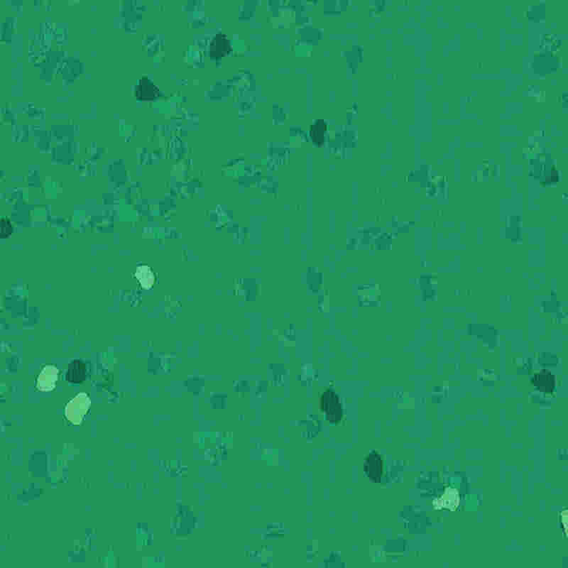 Ridsesikkert og højelastisk gummigulv