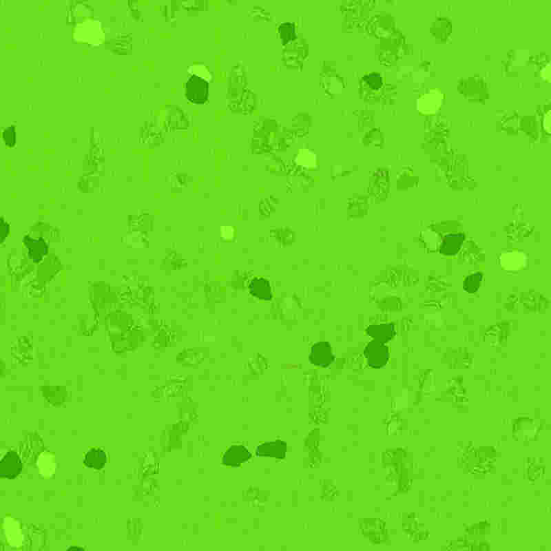 Ridsesikkert og højelastisk gummigulv