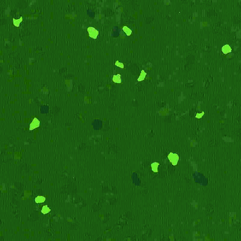 Ridsesikkert og højelastisk gummigulv