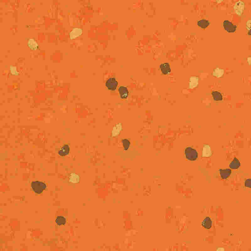 Ridsesikkert og højelastisk gummigulv